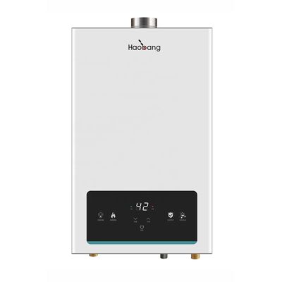 Electric and Gas Powered IPX2 Waterproof Flue Gas Water Heater for Hotel Garage Household Use