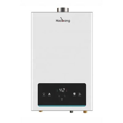 12 Liters IPX2 Waterproof Flue Gas Water Heater with ±1℃ Temperature Deviation for Shower